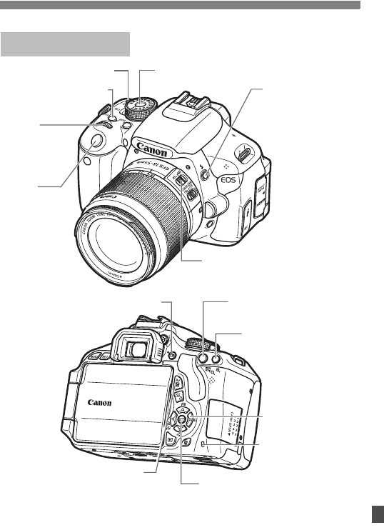 Canon eos 600d карта памяти до скольки