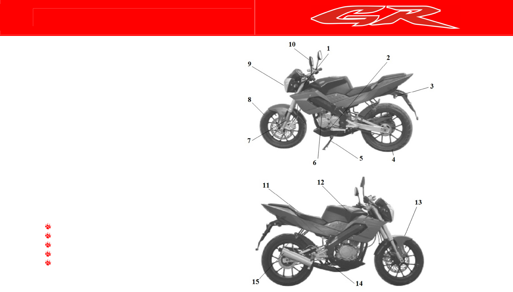 Ttr 250 схема