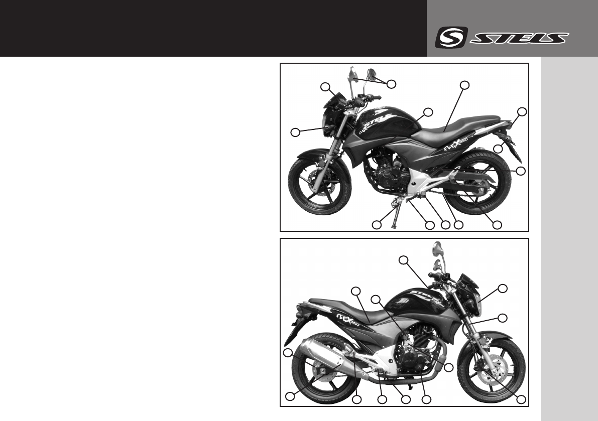 Stels flex 250 схема электропроводки